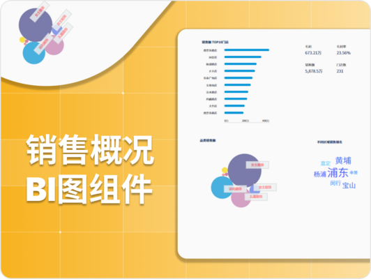 销售概况BI图组件