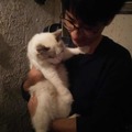 项飞