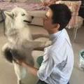 麦片