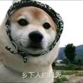 机智小郑