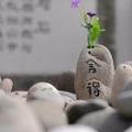 雕龙数码