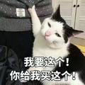 李庆龙