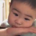 xibo