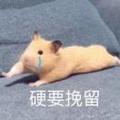 高中烨