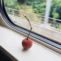 一颗荔枝_
