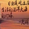 秦波