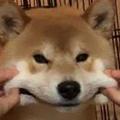 Ding-a-Ling
